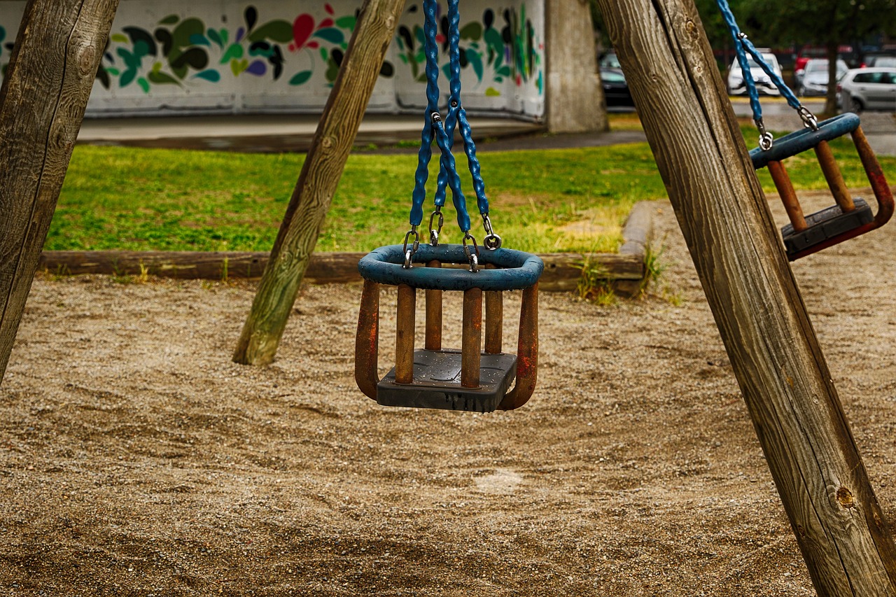 playground  swing  park free photo