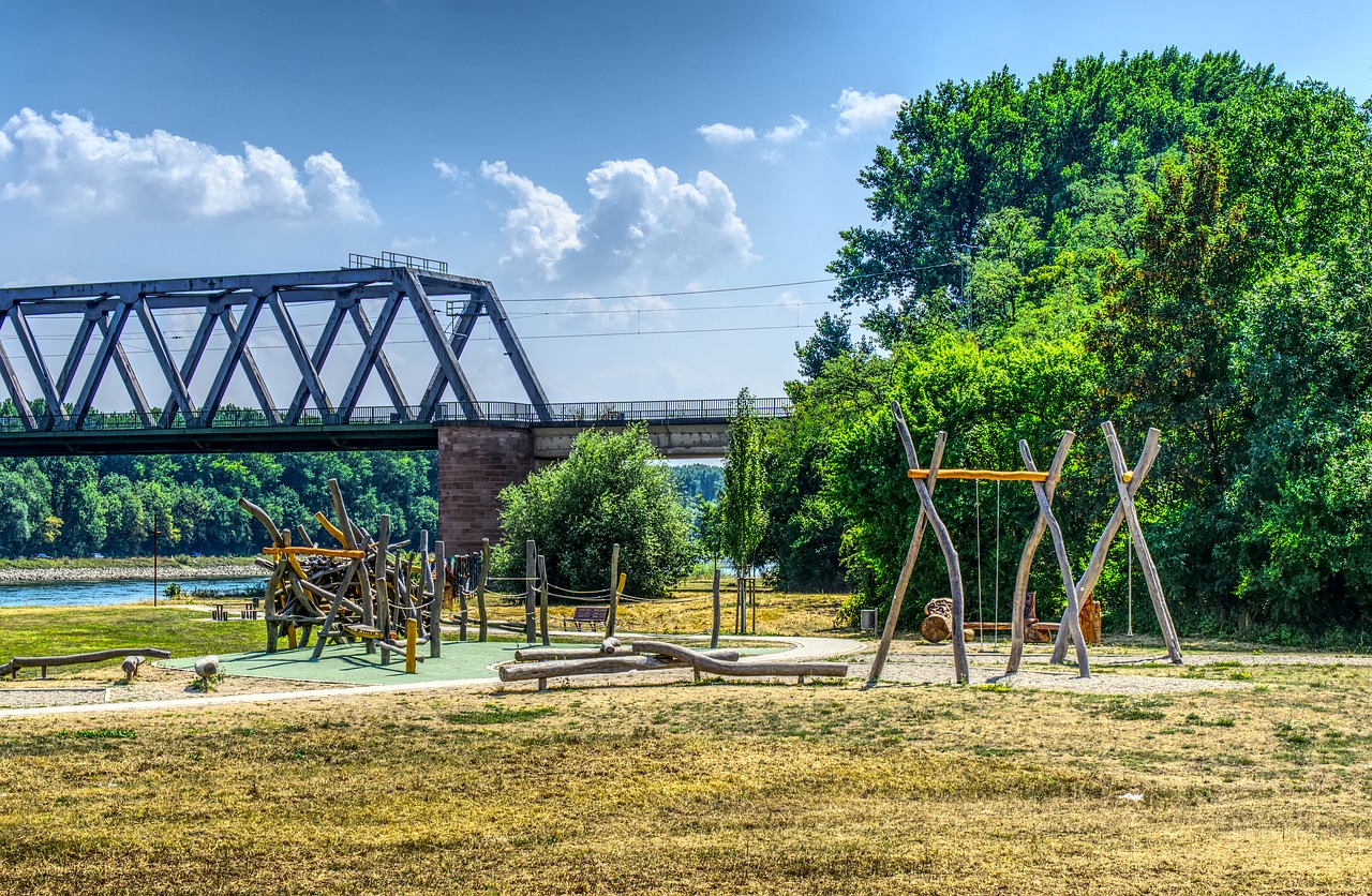 playground  fun  romp free photo