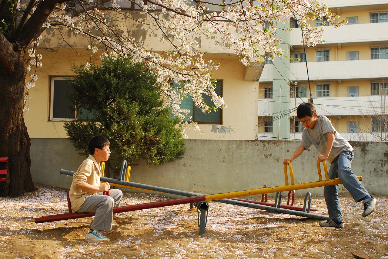 playground children cherry blossom free photo