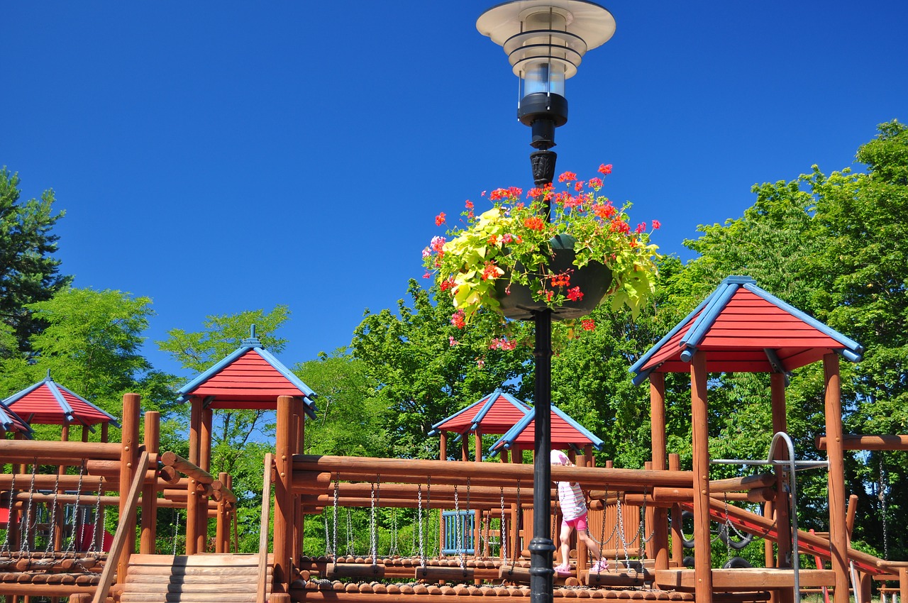 playground wooden tree free photo