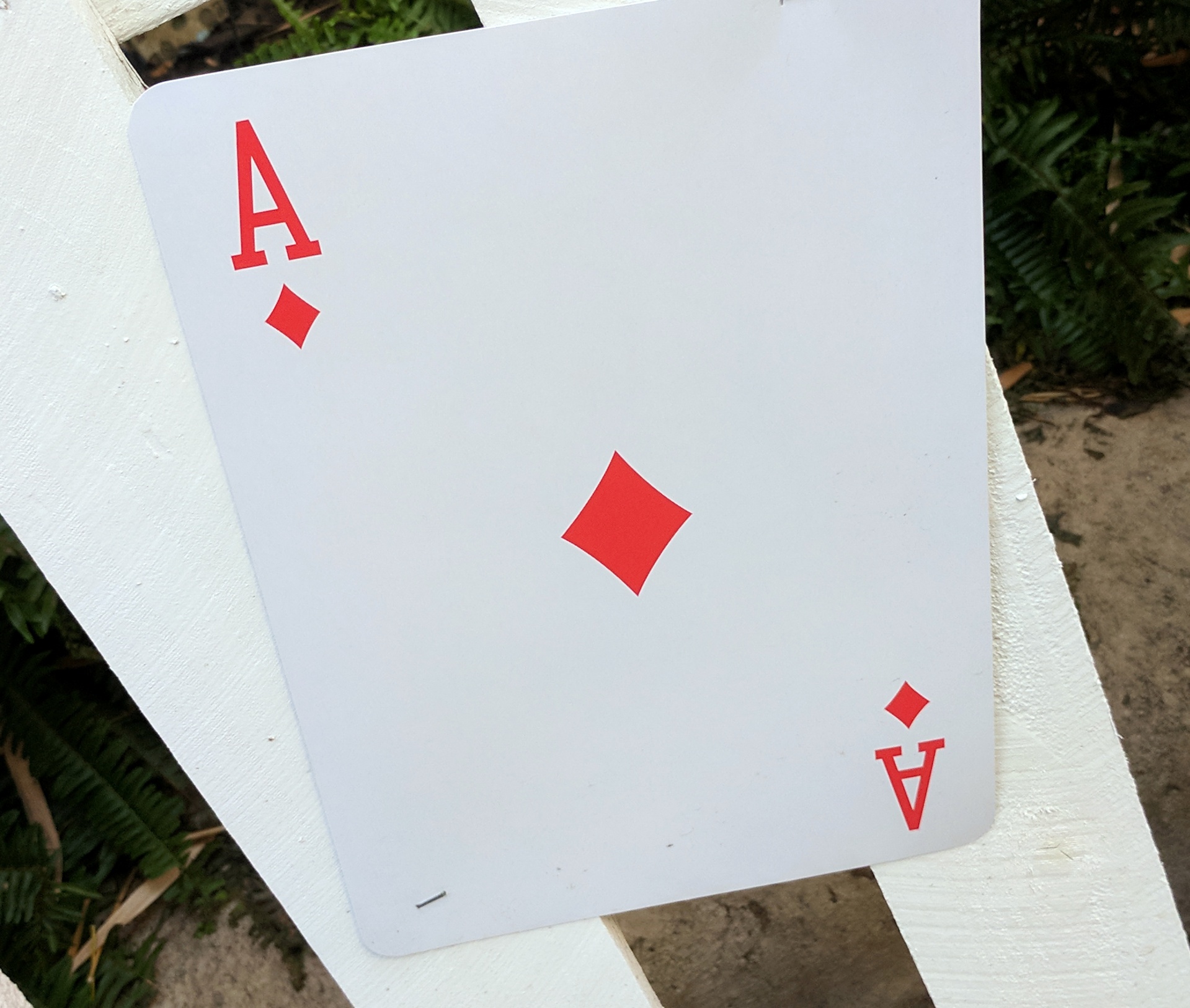 card cards poker free photo
