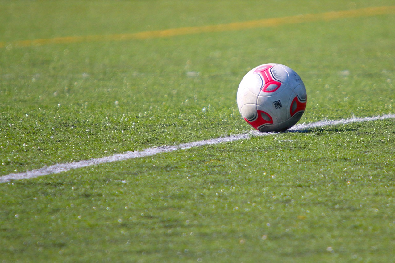 playing field grass ball free photo