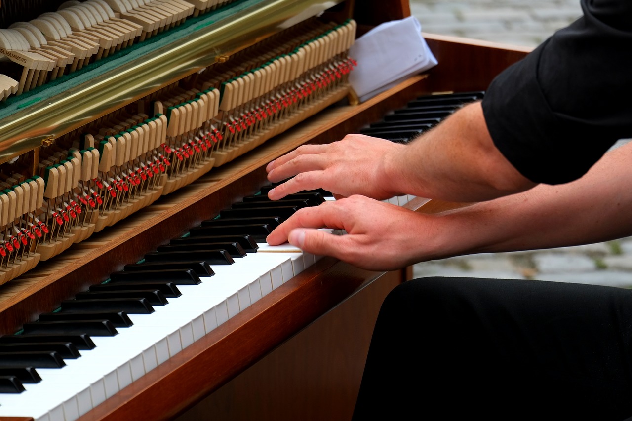playing the piano musician instrument free photo