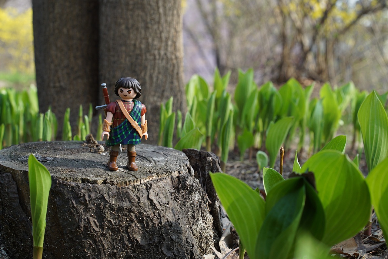 playmobil forest the highlander free photo