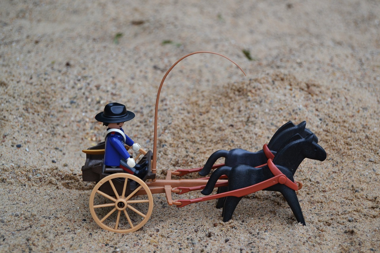 playmobil western usa free photo