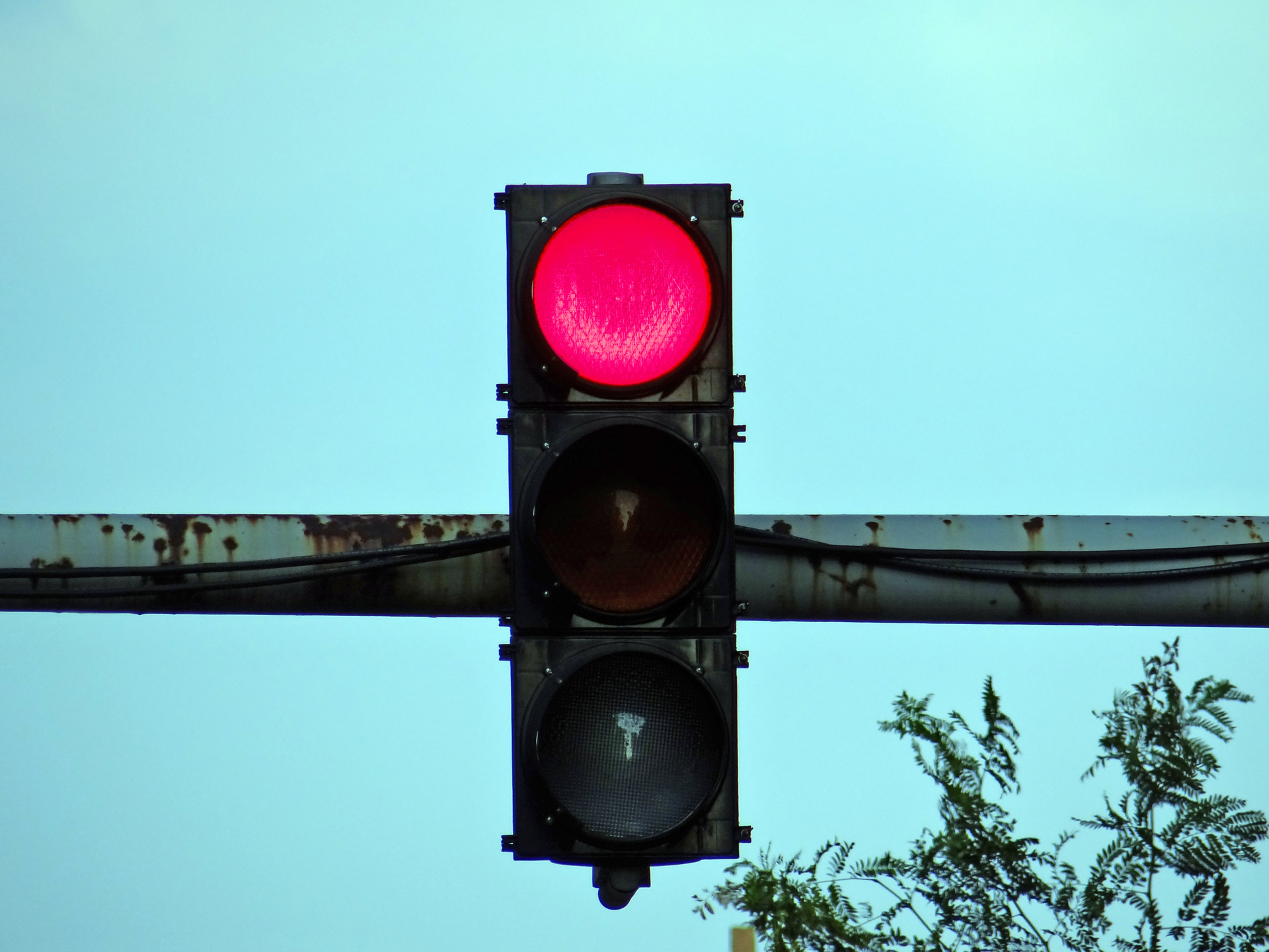 stop light busy street downtown free photo