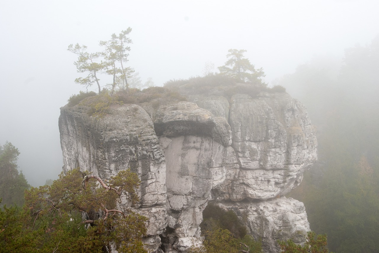 plein air rocks the fog free photo