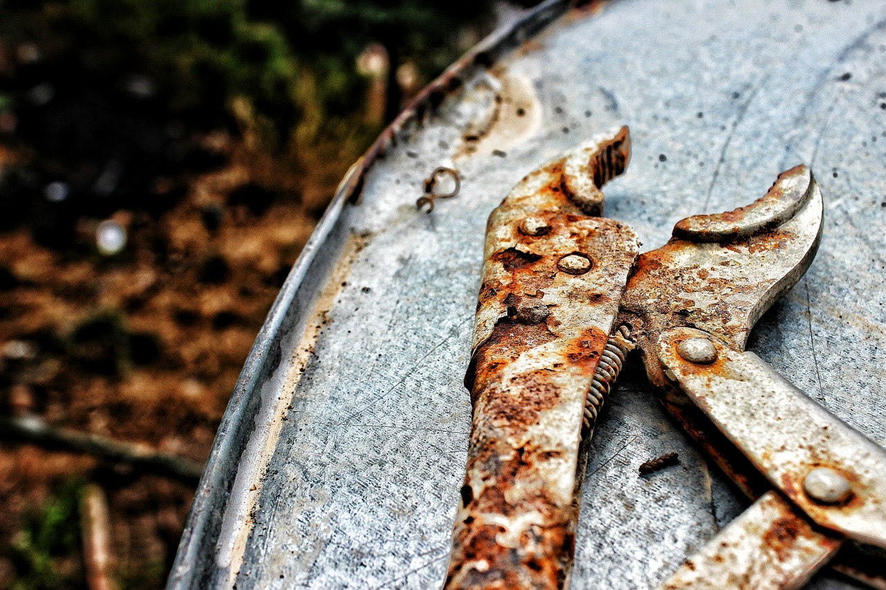 pliers rusted tool free photo