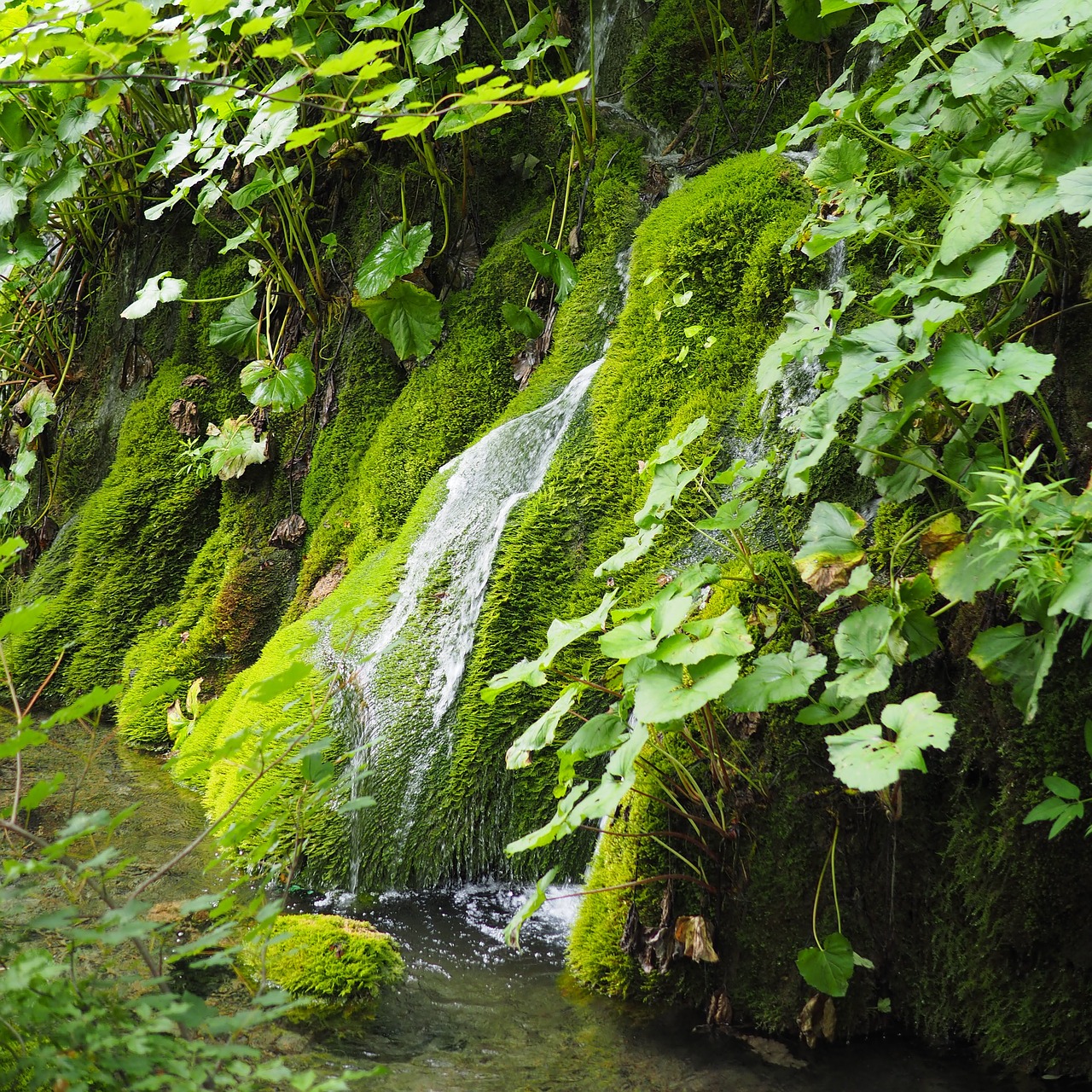 plitvice nature waterfall free photo