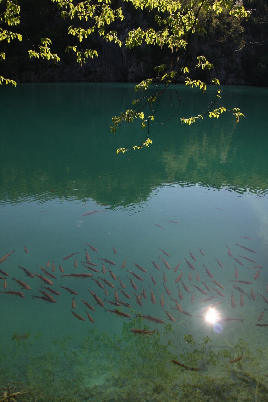 plitvice nature landscape free photo