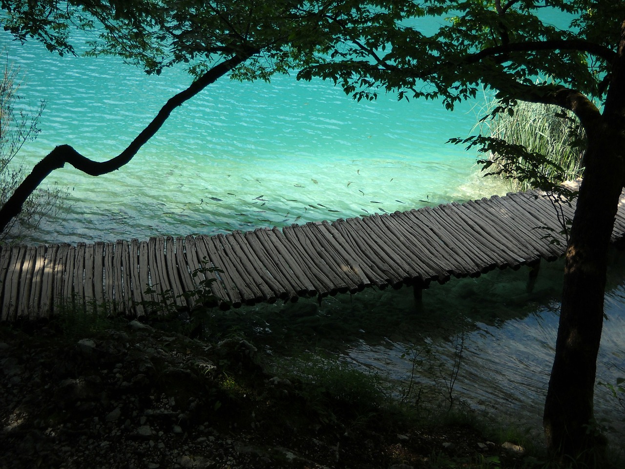 plitvice lakes nature free photo