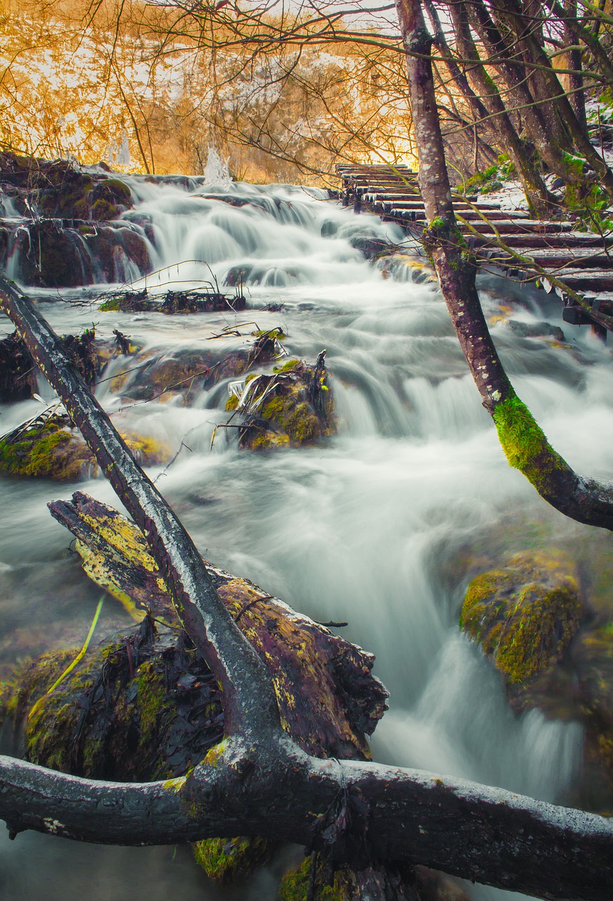 plitvice  lake  plitvice lake free photo