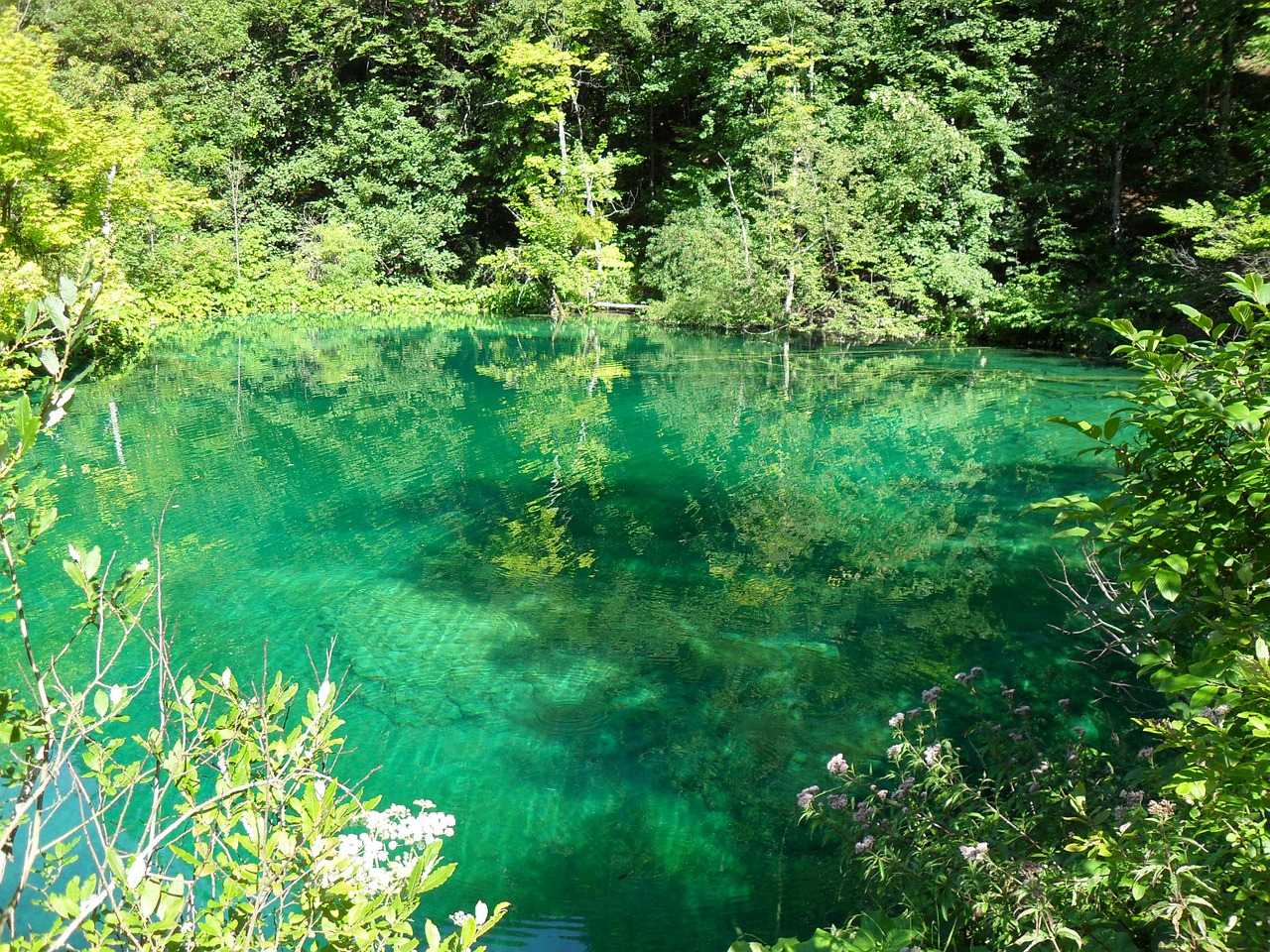 plitvice lakes nature lake free photo