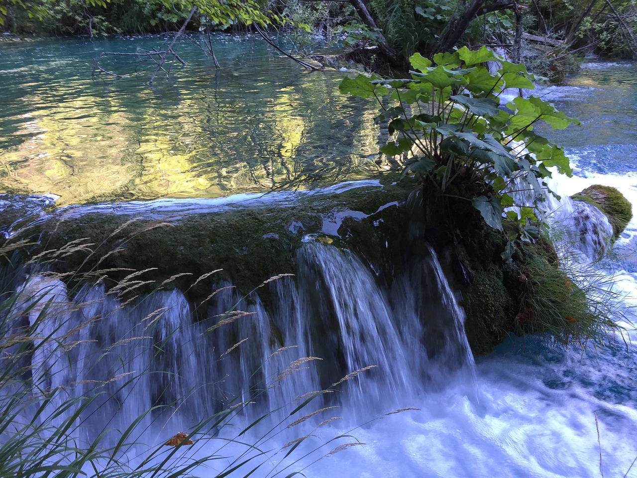 plitvice lakes jezera plitvicka free photo