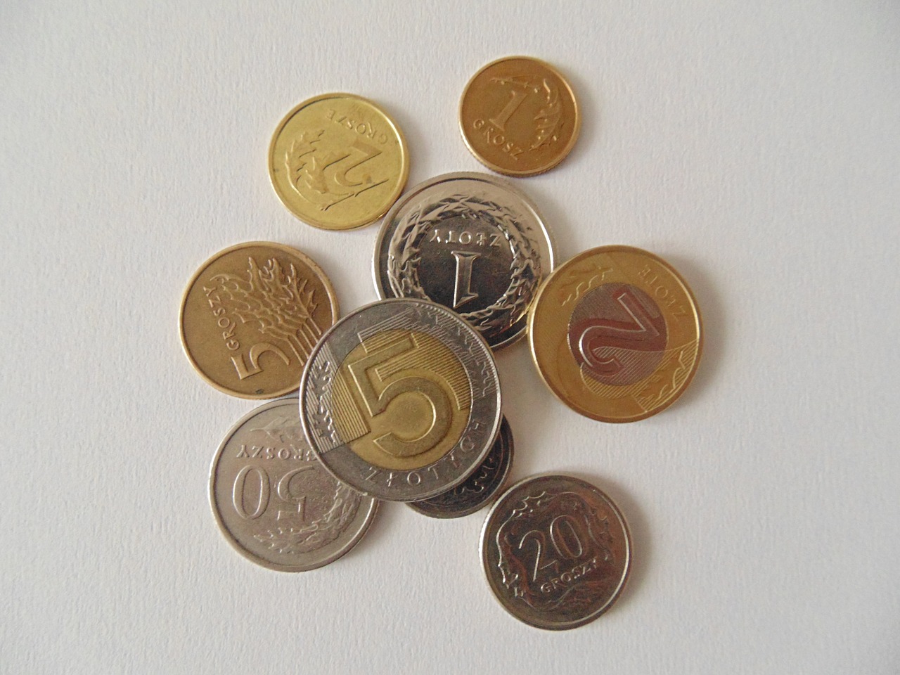 coins polish currency free photo