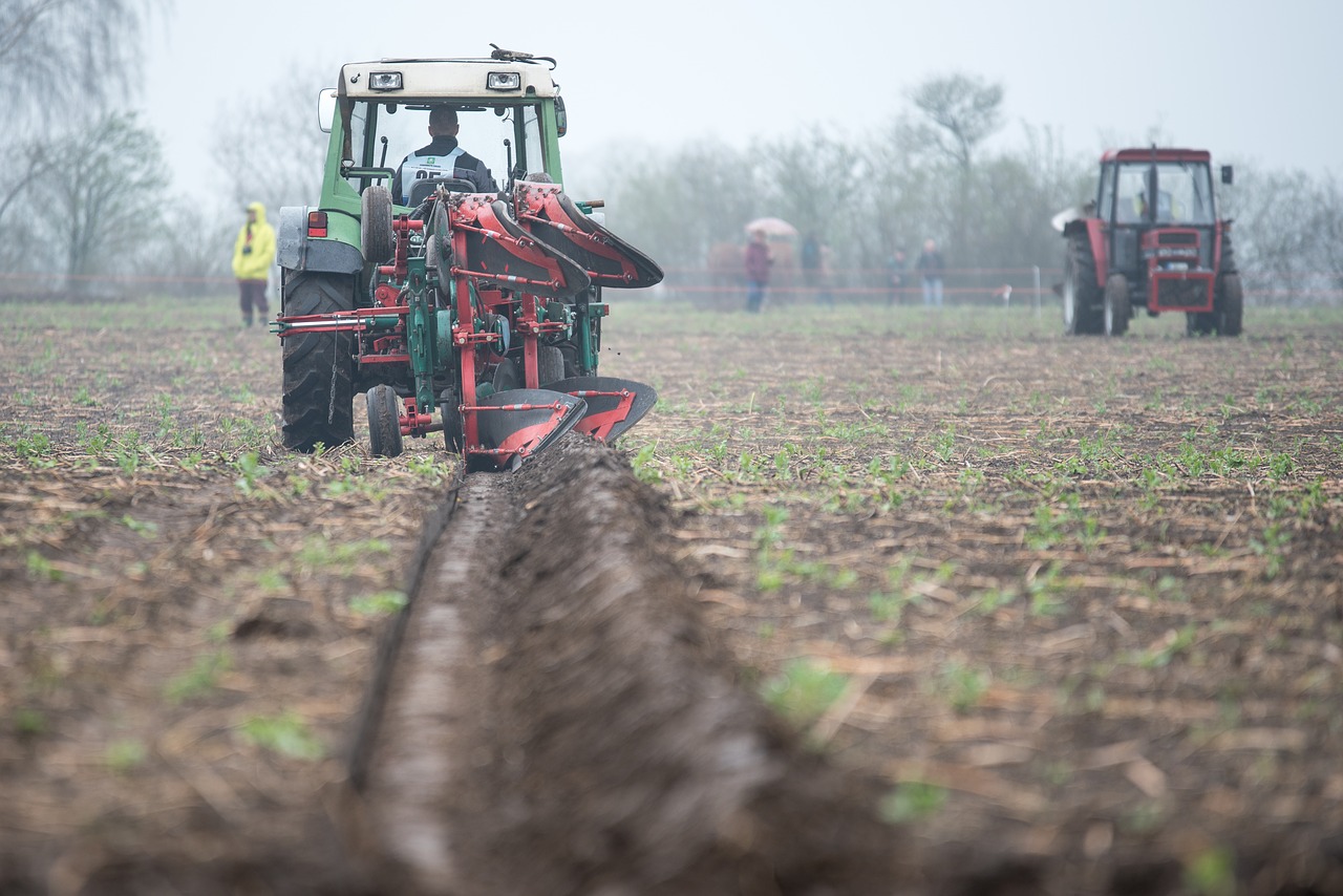 plough  plow  agriculture free photo