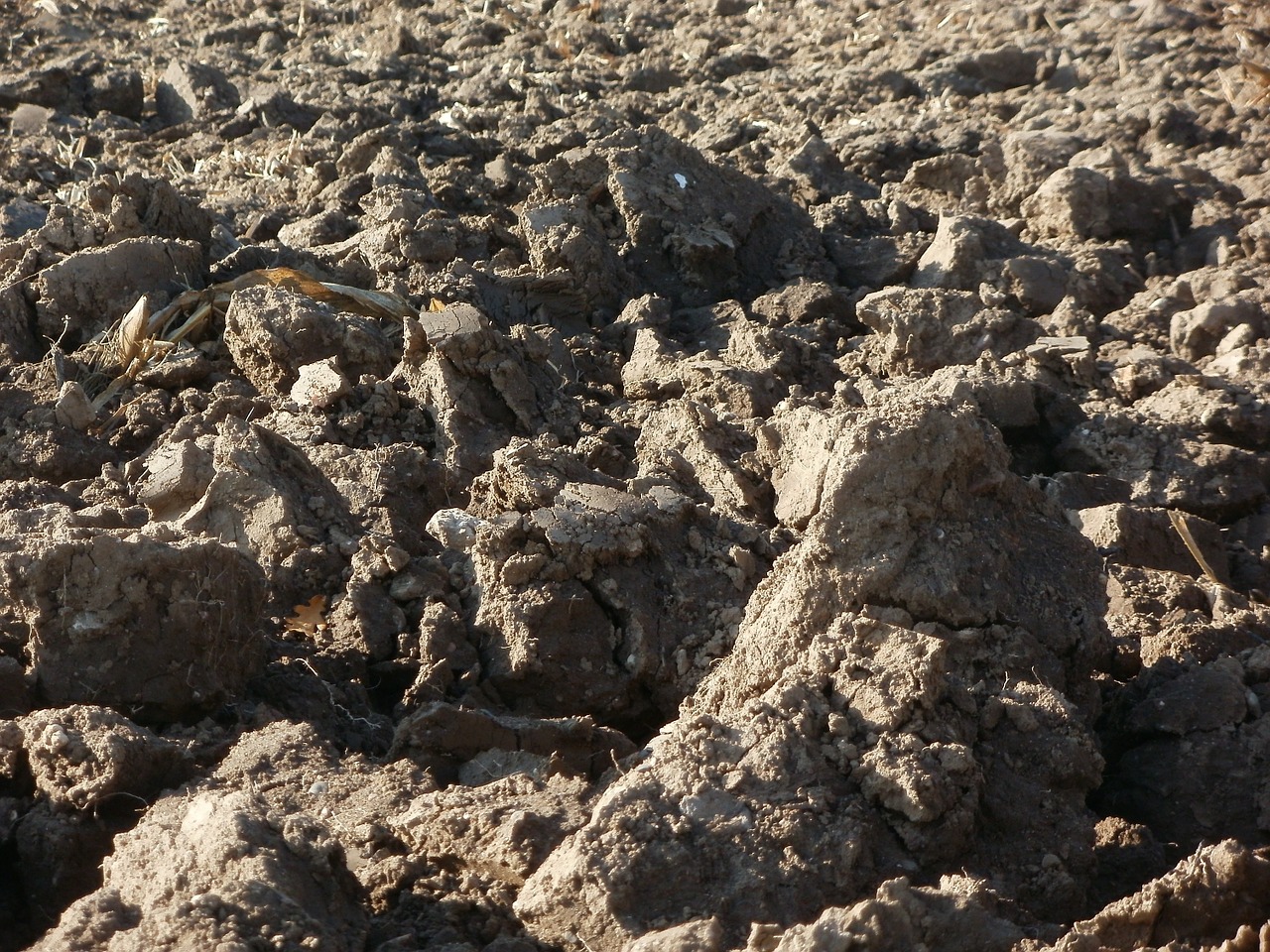 ploughed field soil free photo