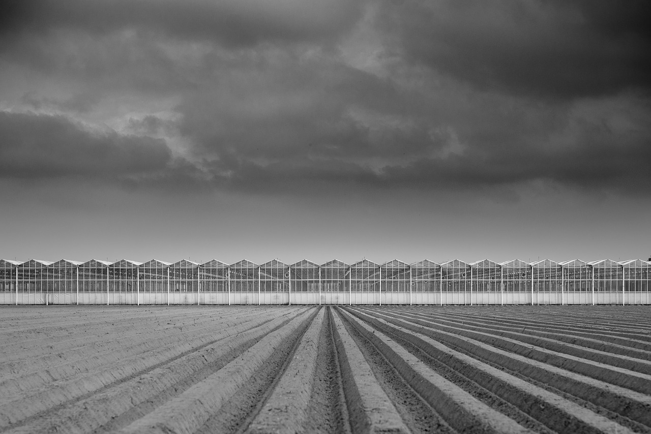 plowed field greenhouse free photo