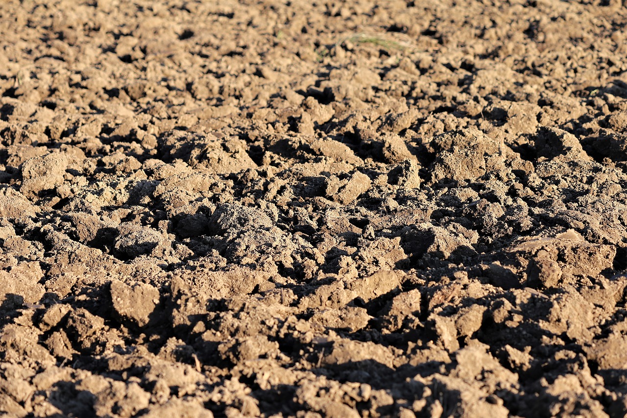 plowed earth  soil  brown free photo