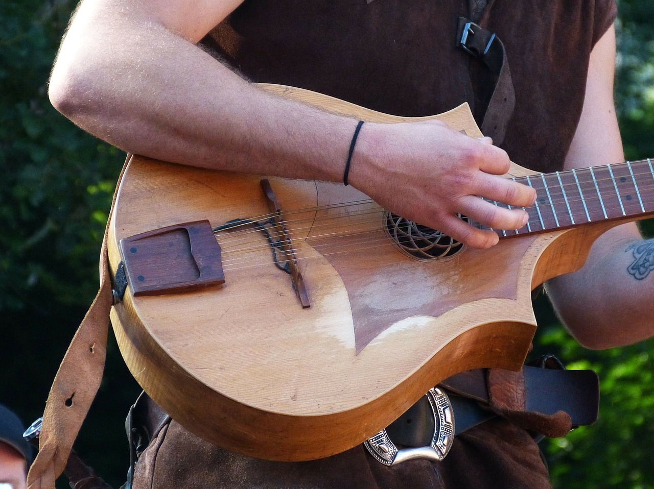plucked string instrument guitarist guitar free photo