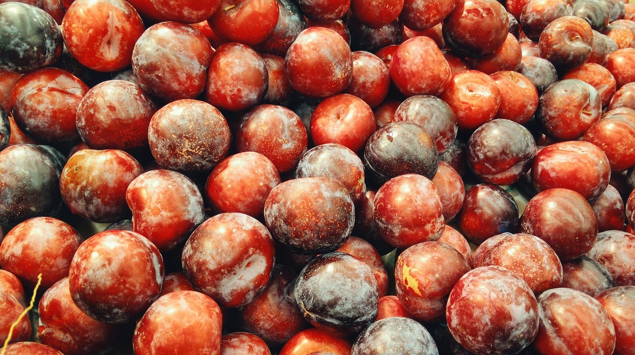plum fruit fresh free photo