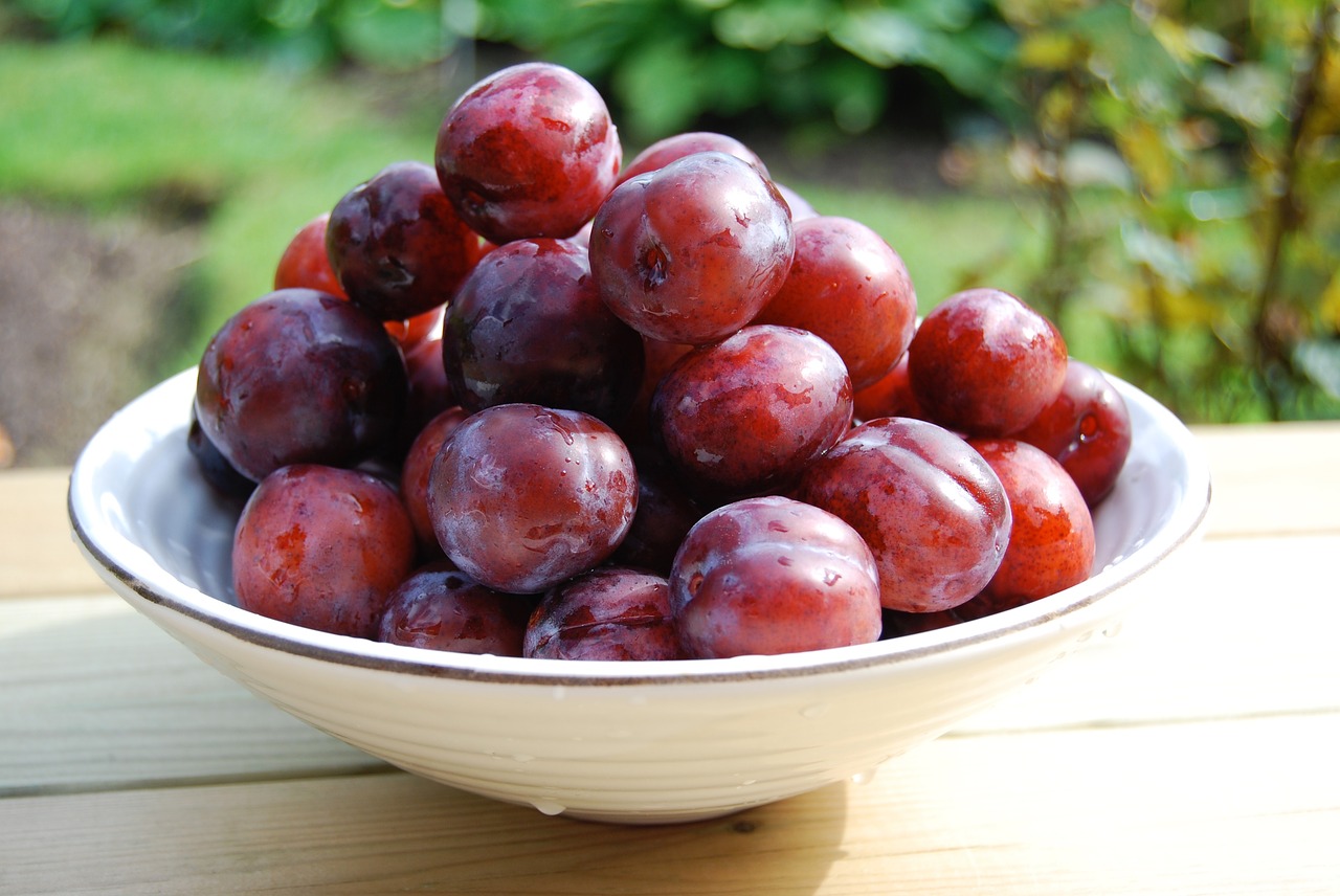 plum bowl food free photo