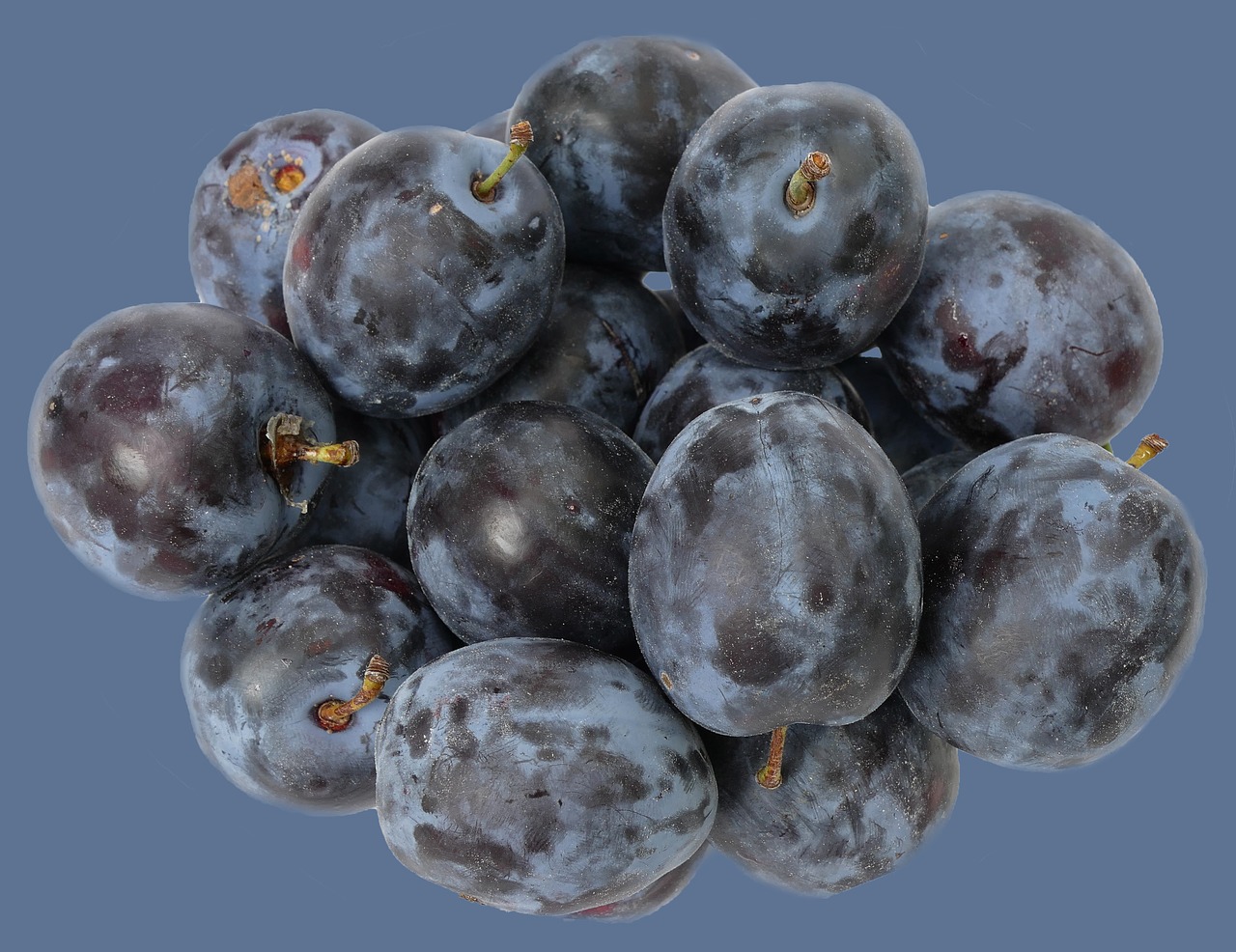 plum fruit stone fruit free photo