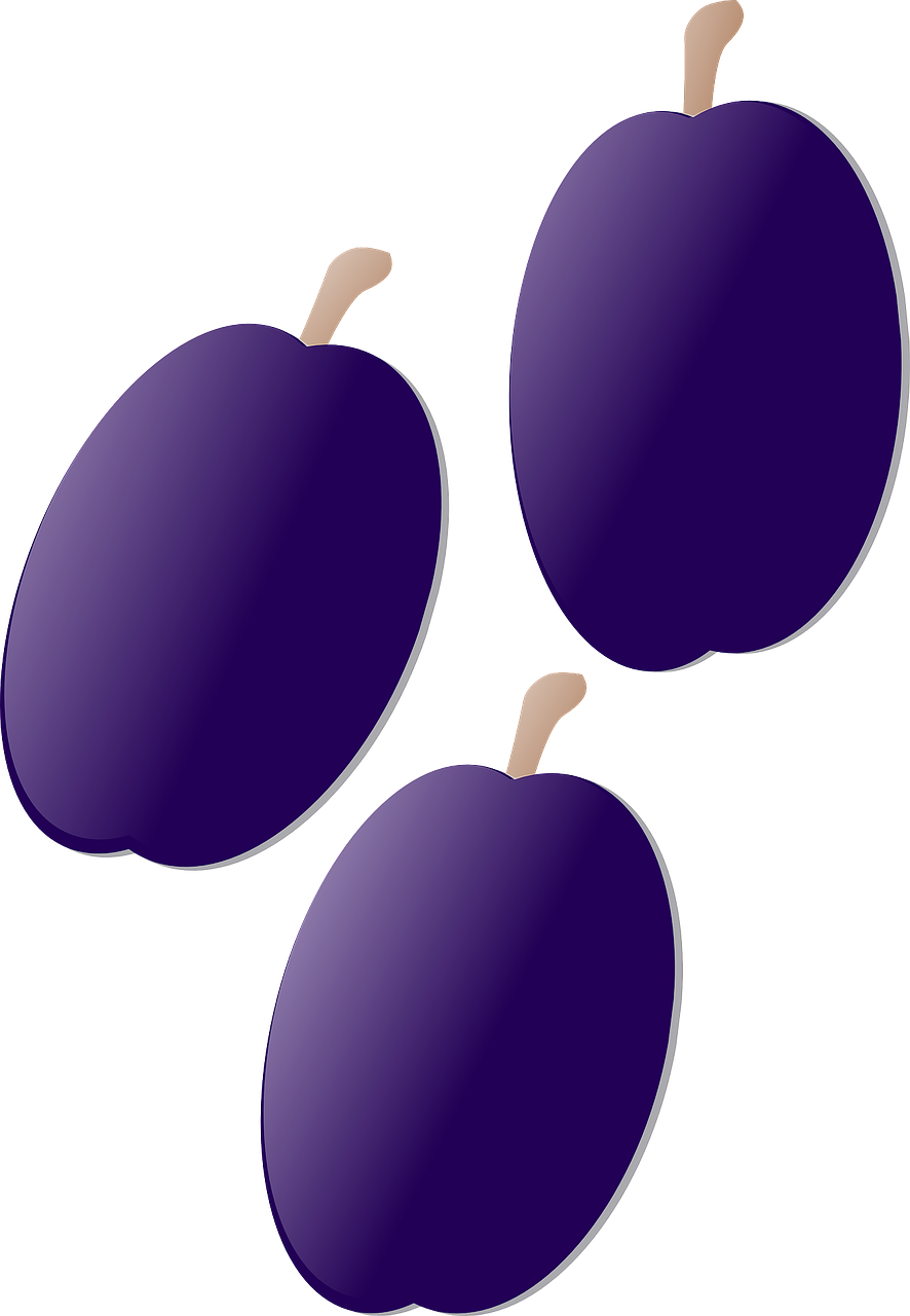 plum purple fruit free photo
