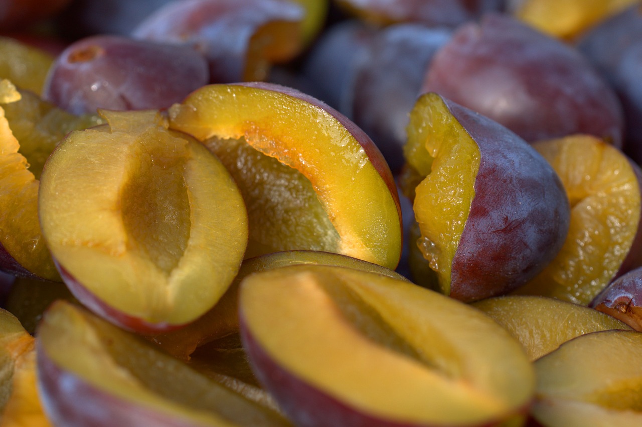 plum  fruit  ripe free photo