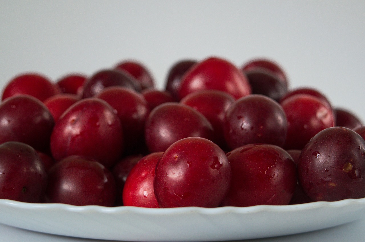plum  fruits  sweet free photo