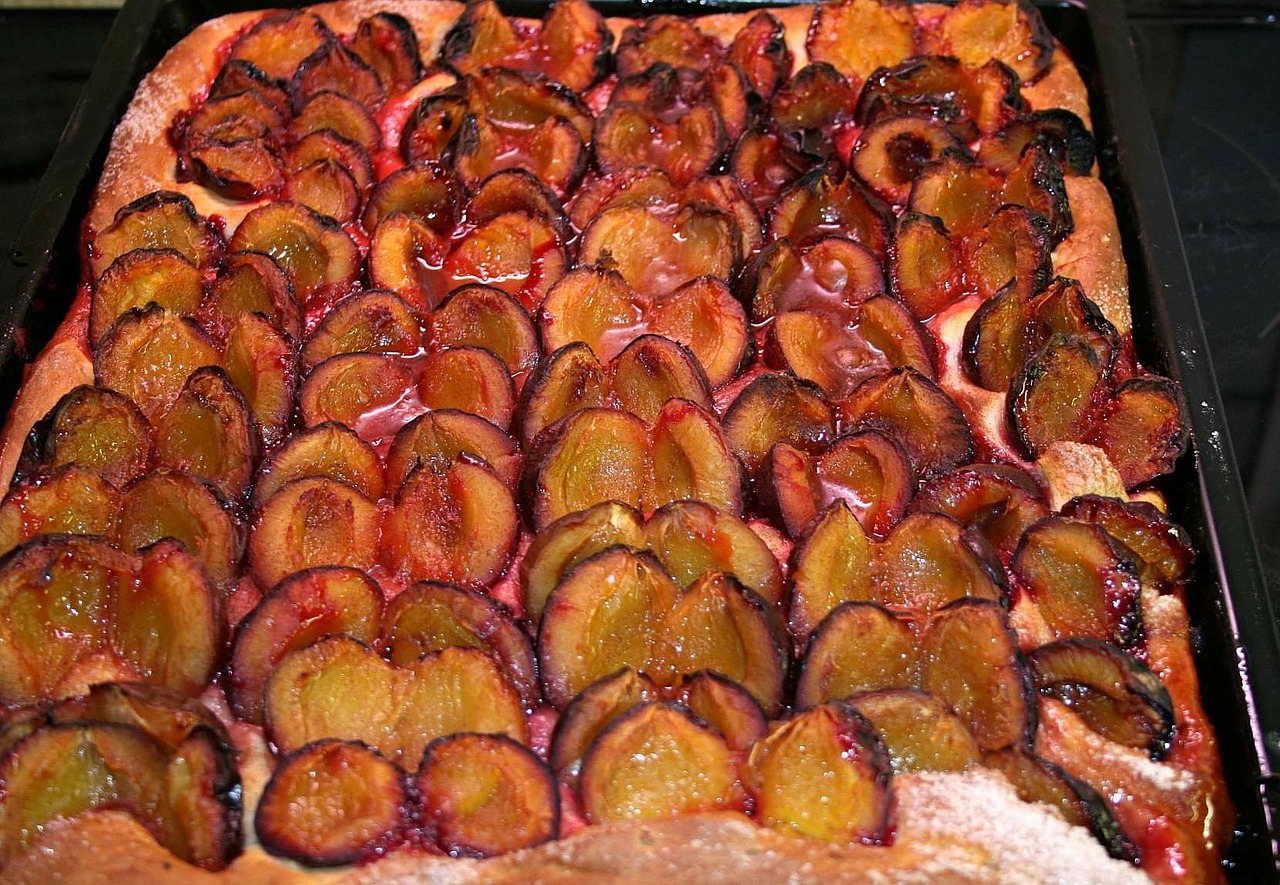 plum cake cake plums free photo