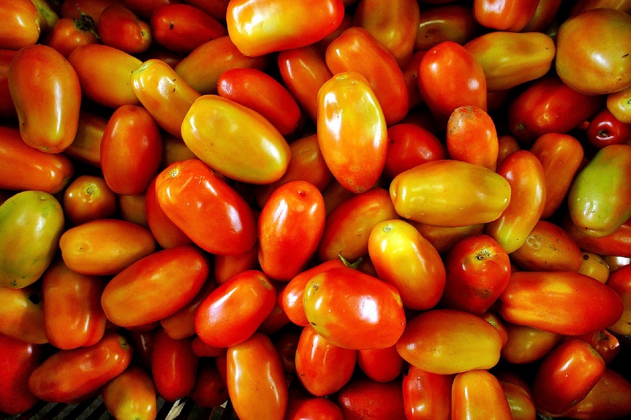 plum tomatoes fresh vegetables free photo