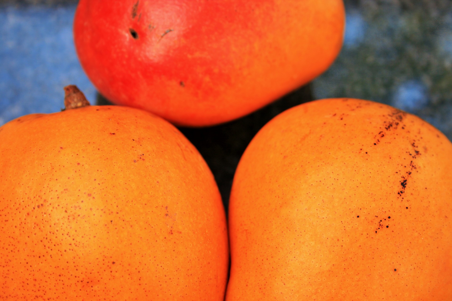 fruit mangoes round free photo