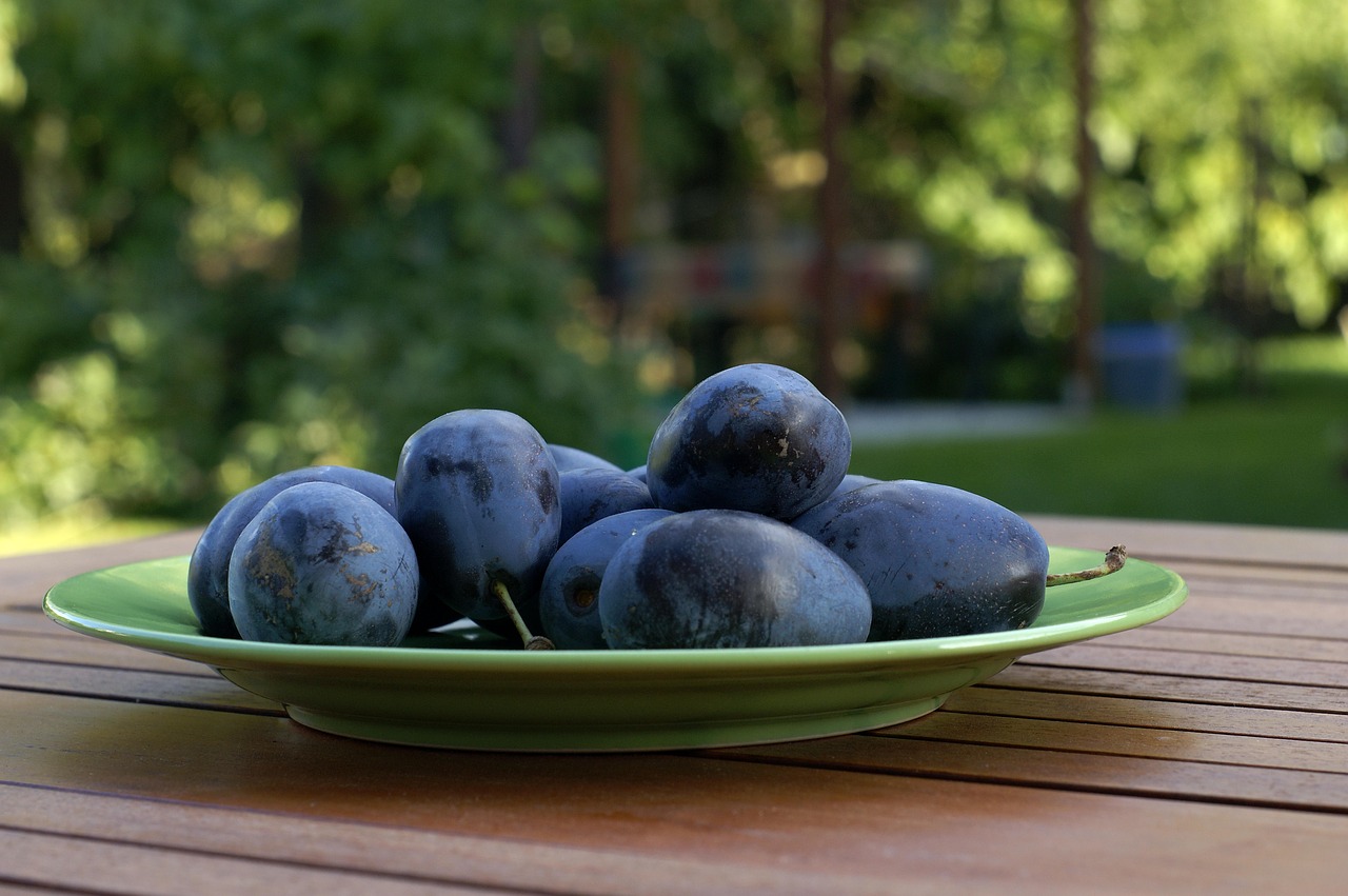 plums fresh ripe fruit free photo