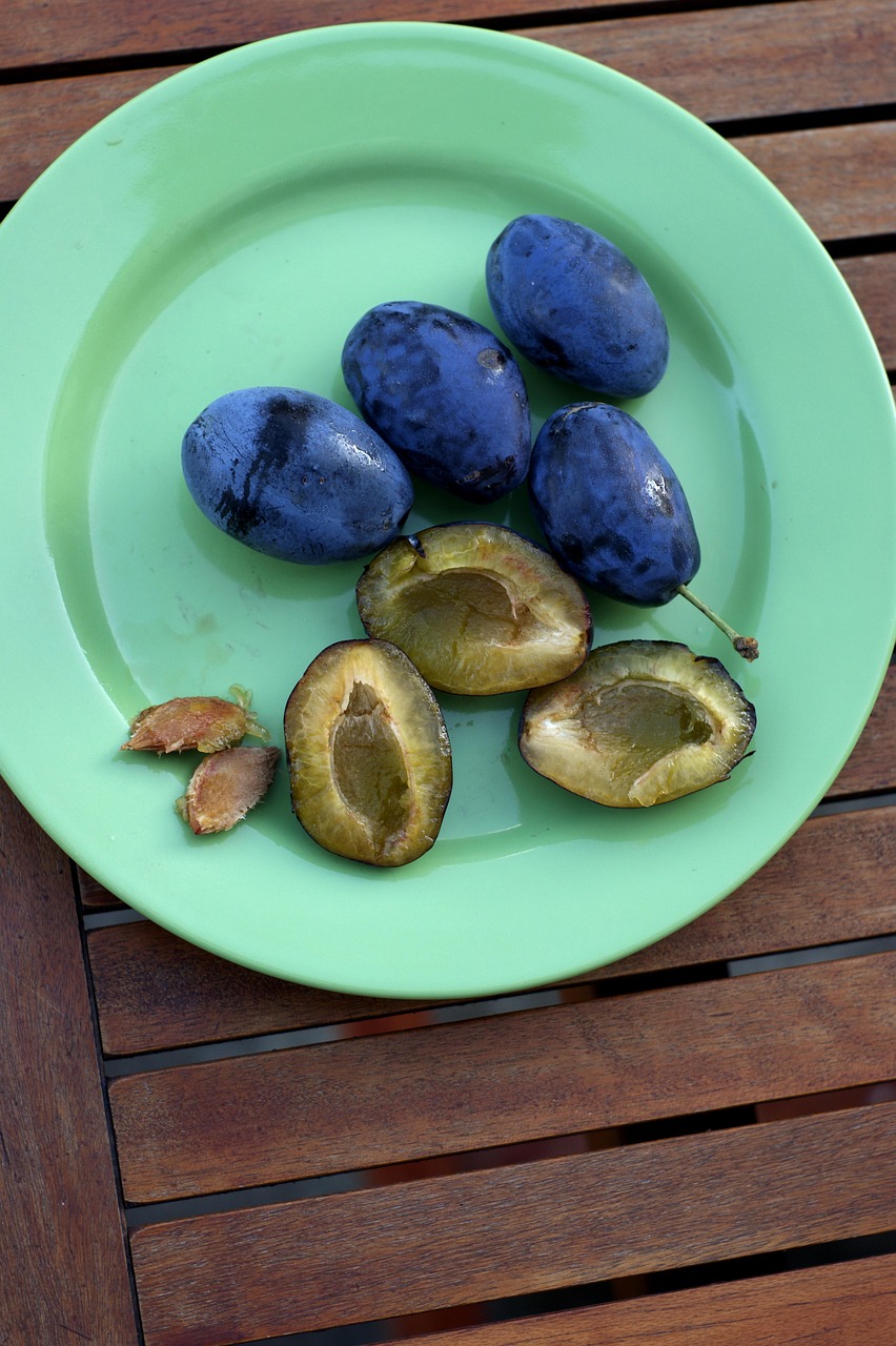 plums fresh ripe fruit free photo