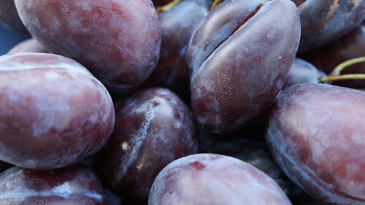 plums fruit healthy free photo