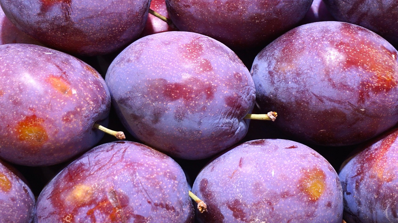 plums pruna fruit stand free photo