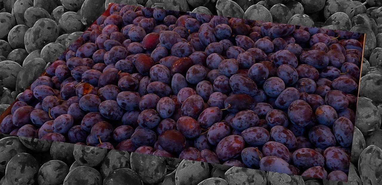plums plum fruit free photo