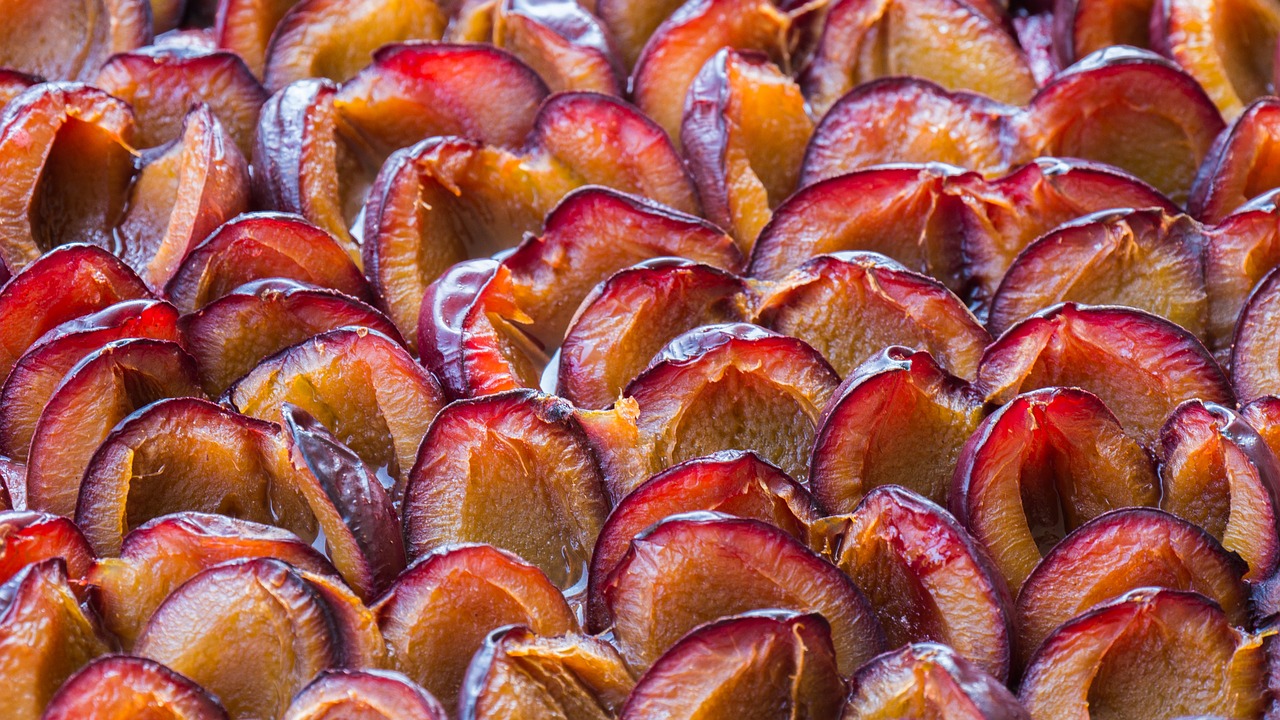 plums  plum cake  pie free photo