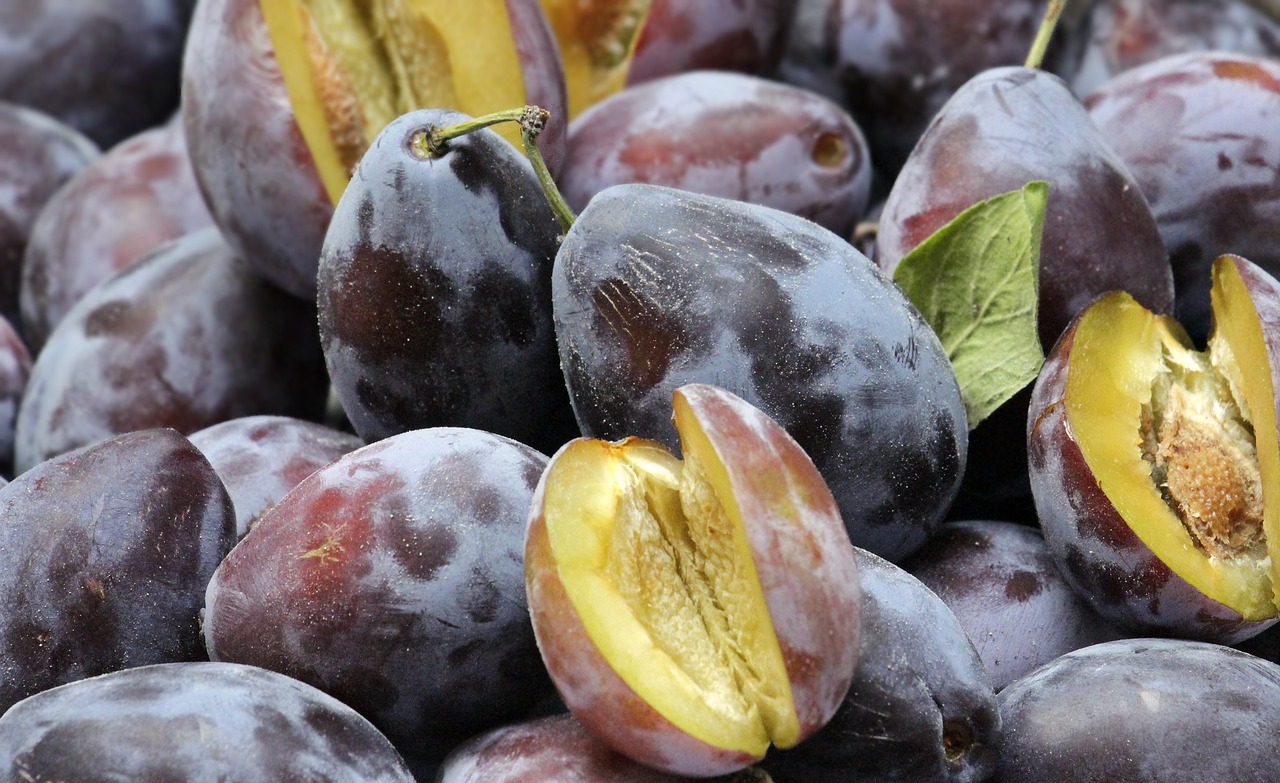 plums  fruit  fruits free photo