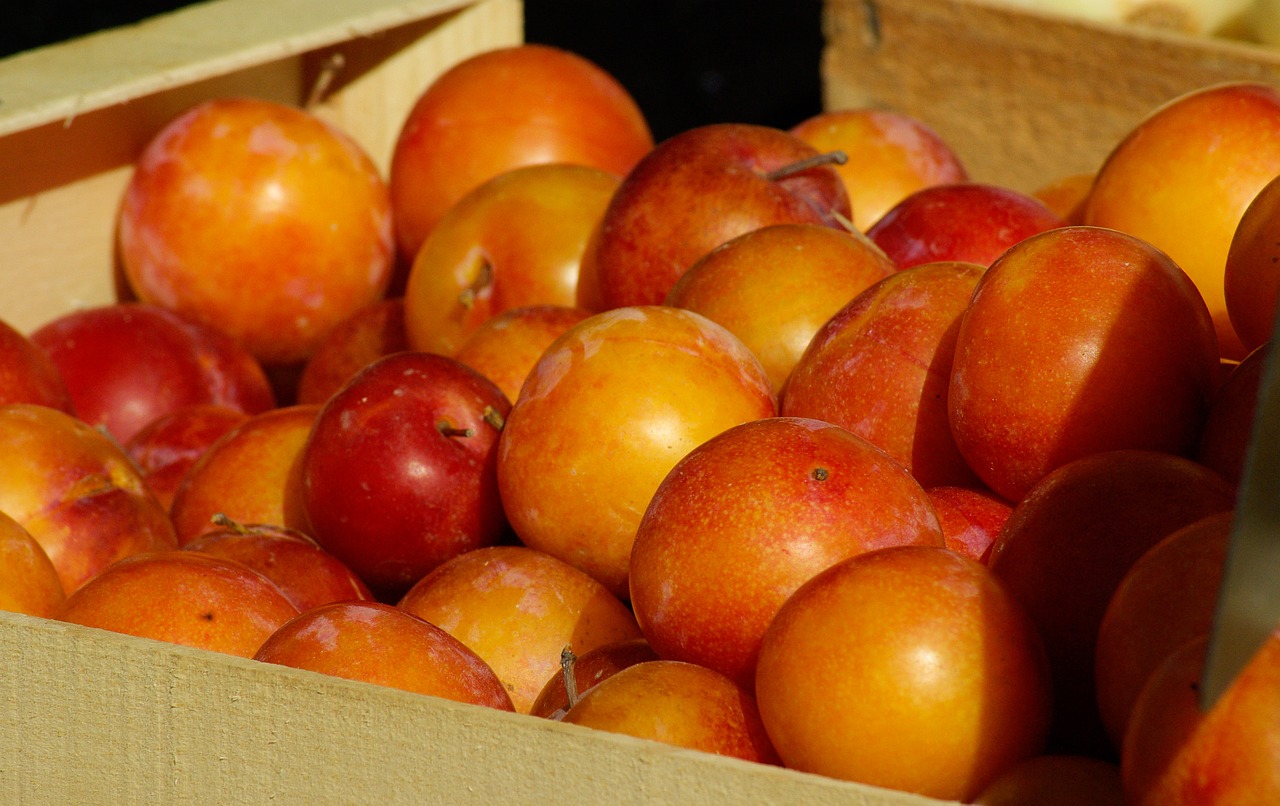 plums fruit market free photo