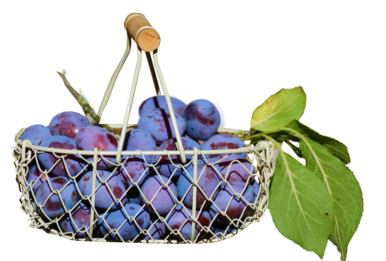 plums in the basket fruit isolated free photo
