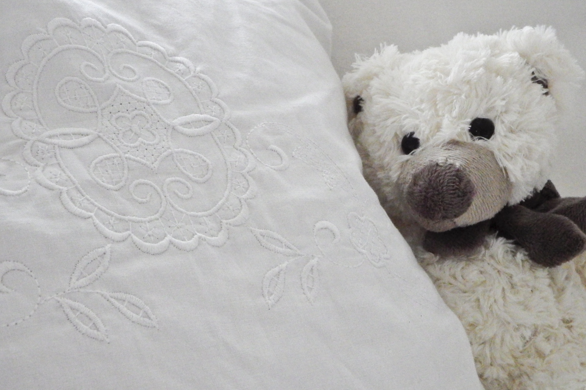 pillow teddy bear white free photo