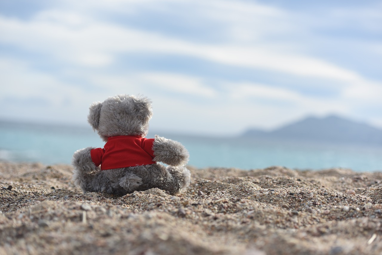 plush beach teddy bear free photo