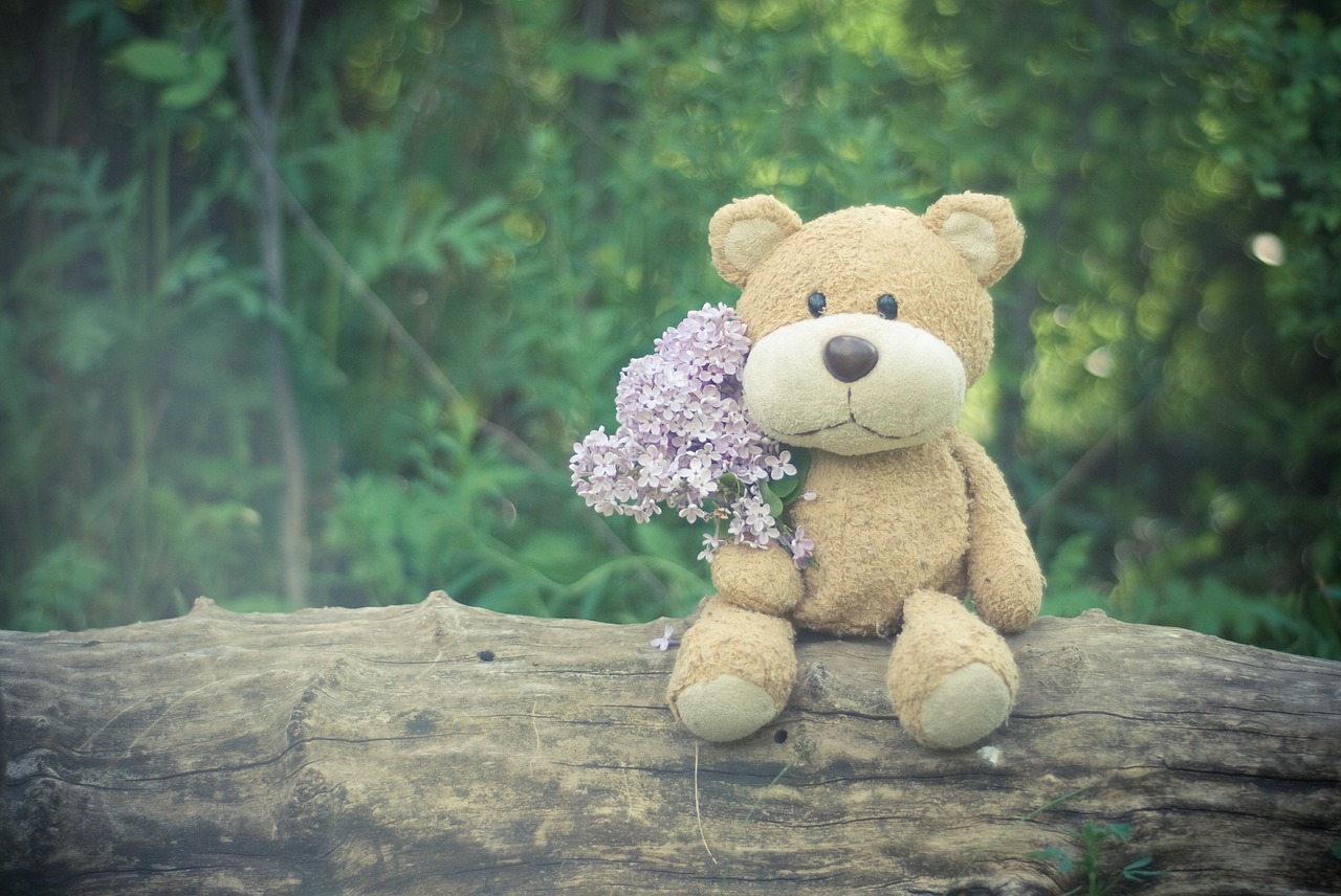 plush toy  teddy bear  wood free photo