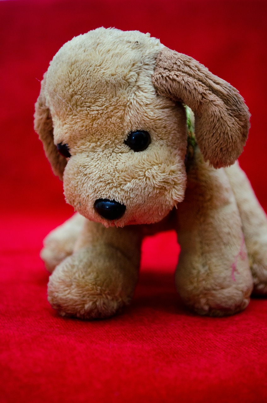 plush toy dog puppy free photo