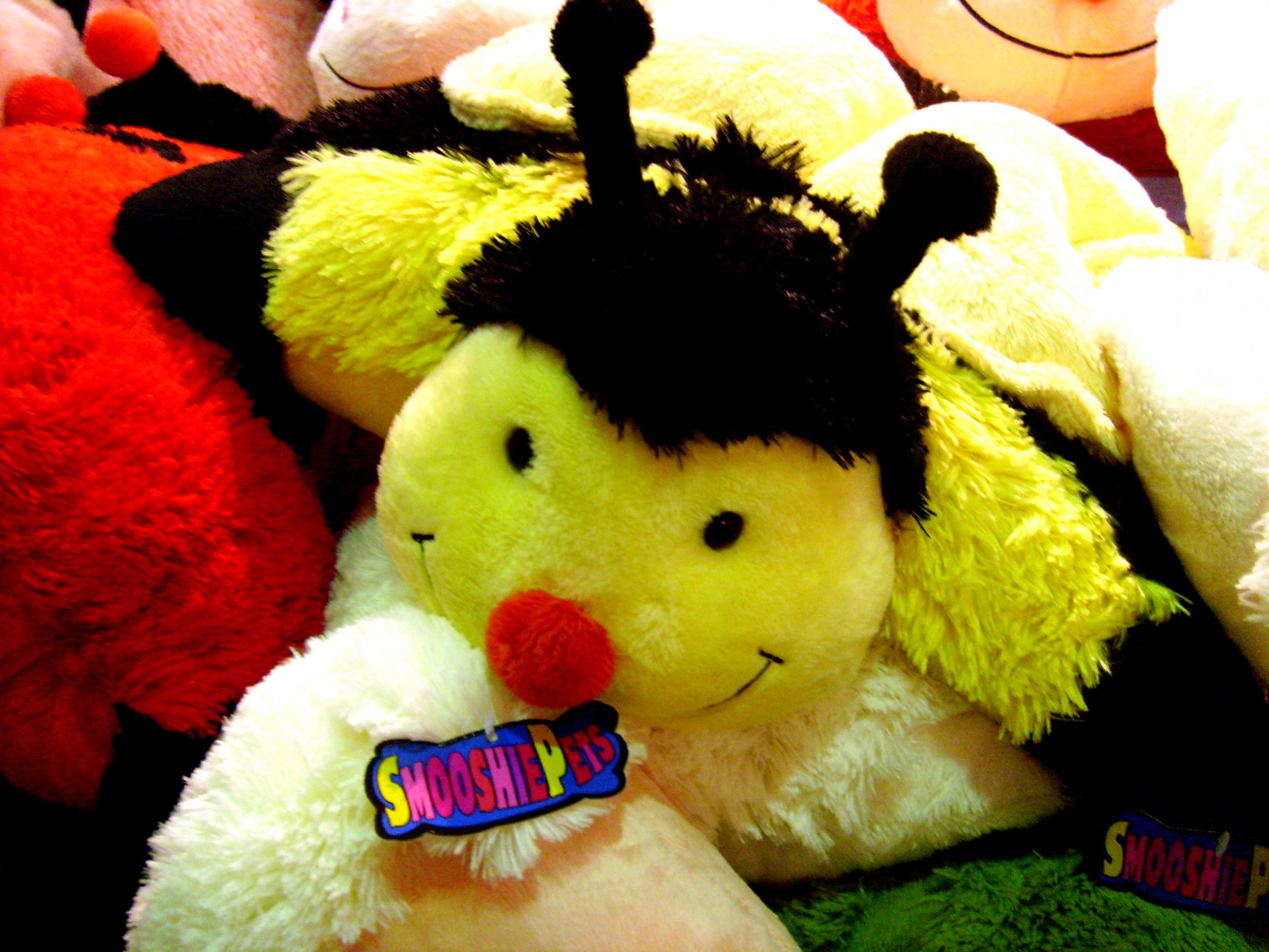 animal bee toy free photo