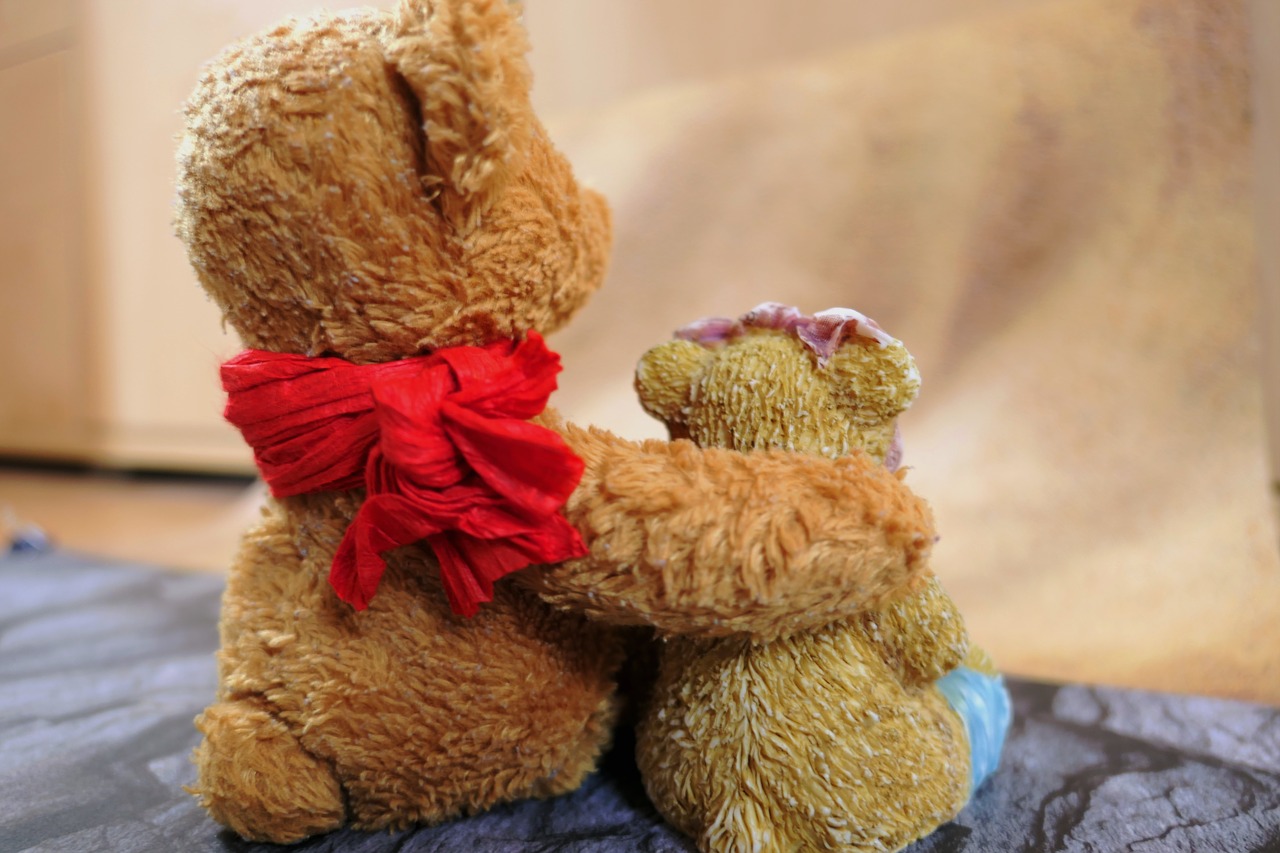 plush toys  bears teddy bears  friendship free photo