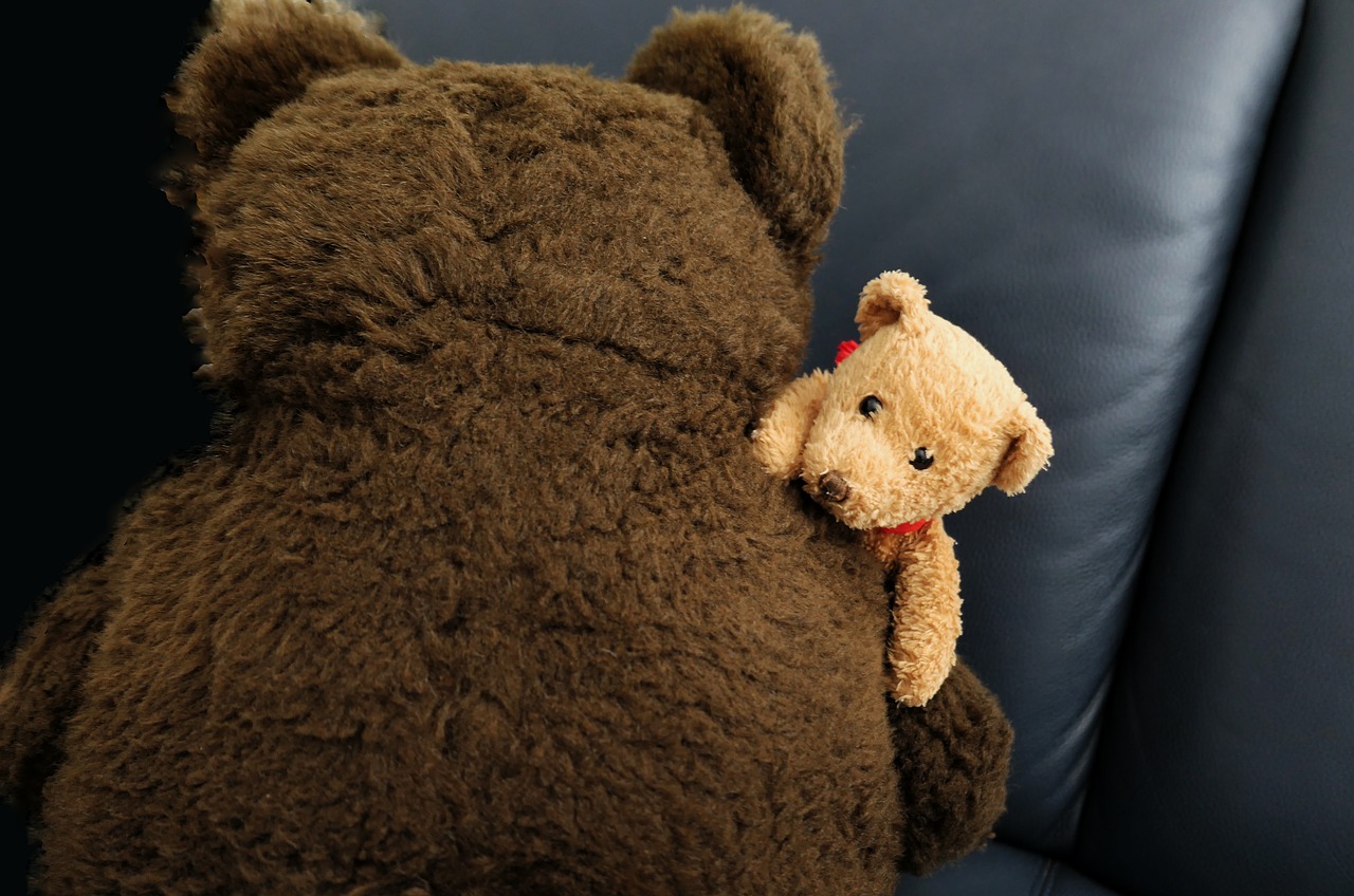plush toys  bears teddy bears  friendship free photo