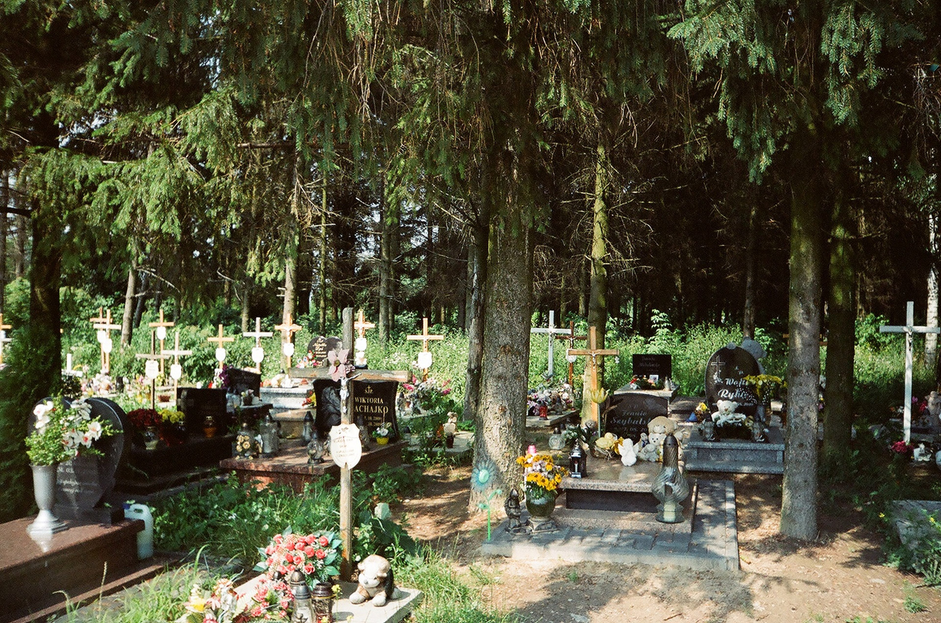 cemetery grave teddy bear free photo